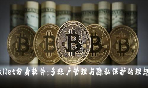 TPWallet分身软件：多账户管理与隐私保护的理想选择