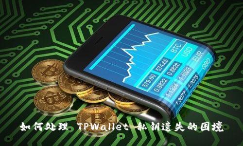 如何处理 TPWallet 私钥遗失的困境