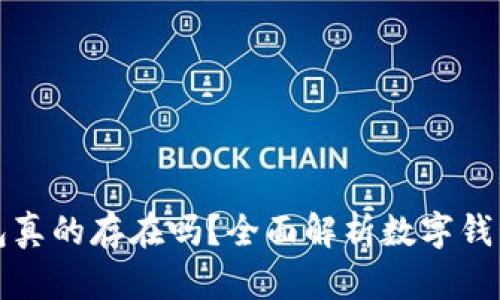 数字钱包真的存在吗？全面解析数字钱包的真相