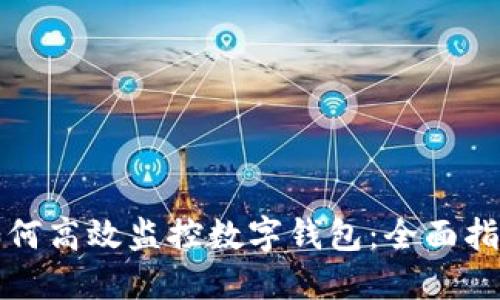 如何高效监控数字钱包：全面指南