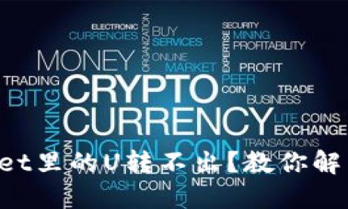 TPWallet里的U转不出？教你解决方法！