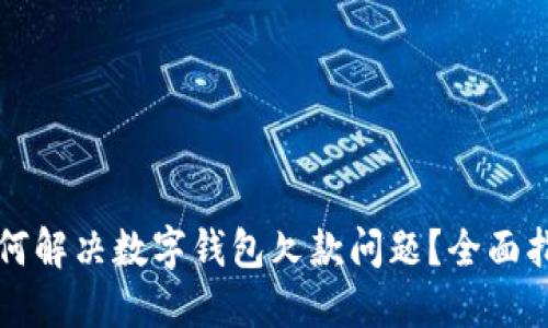 如何解决数字钱包欠款问题？全面指南