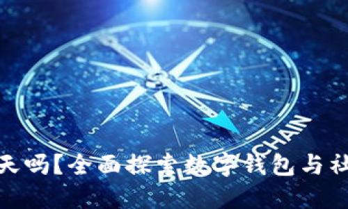 数字钱包能聊天吗？全面探索数字钱包与社交功能的结合