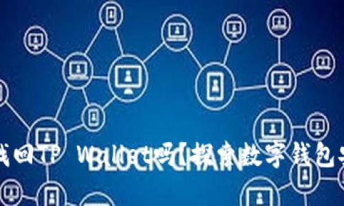 只有密码可以找回TP Wallet吗？探索数字钱包安全与恢复机制