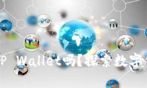 只有密码可以找回TP Wallet吗？探索数字钱包安全与恢复机制