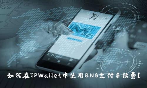 如何在TPWallet中使用BNB支付手续费？