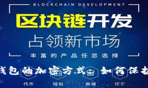 深入解析BTC钱包的加密方式: 如何保护你的数字资产