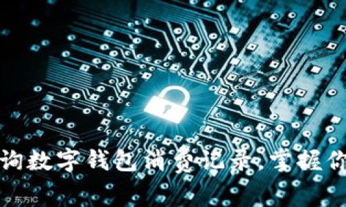 如何轻松查询数字钱包消费记录，掌握你的财务状况