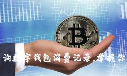 如何轻松查询数字钱包消费记录，掌握你的财务状况