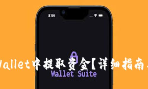 如何从TPWallet中提取资金？详细指南与操作技巧