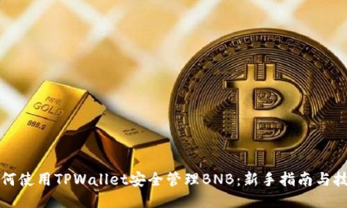 如何使用TPWallet安全管理BNB：新手指南与技巧