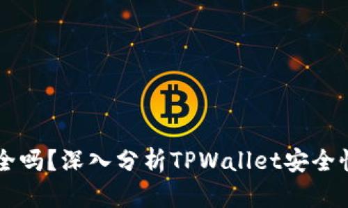 TPWallet安全吗？深入分析TPWallet安全性及用户指南