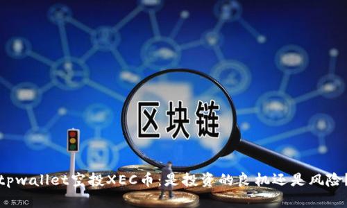 tpwallet空投XEC币：是投资的良机还是风险？