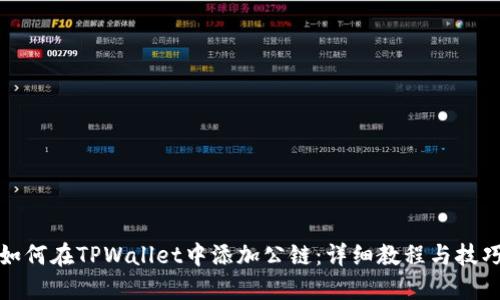 如何在TPWallet中添加公链：详细教程与技巧