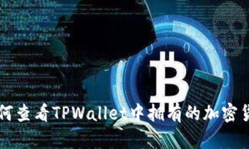 如何查看TPWallet中拥有的加密货币