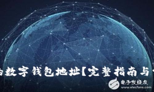如何找到您的数字钱包地址？完整指南与常见问题解答