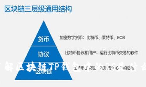 深入了解区块链TP钱包中的RS是什么意思？