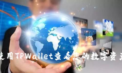 如何使用TPWallet查看您的数字资产余额