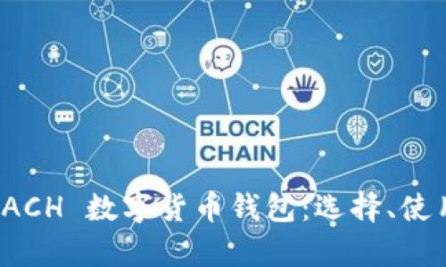 全面解析 ACH 数字货币钱包：选择、使用与安全性