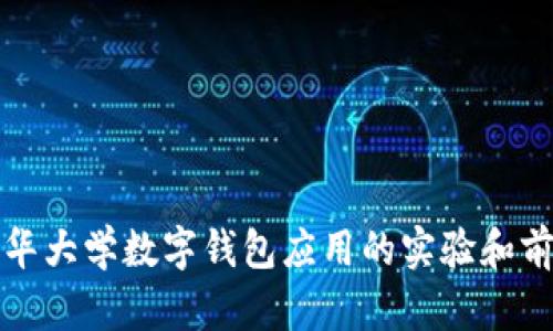 探索清华大学数字钱包应用的实验和前景分析